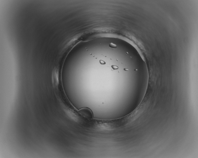 X0000113260062200909101507