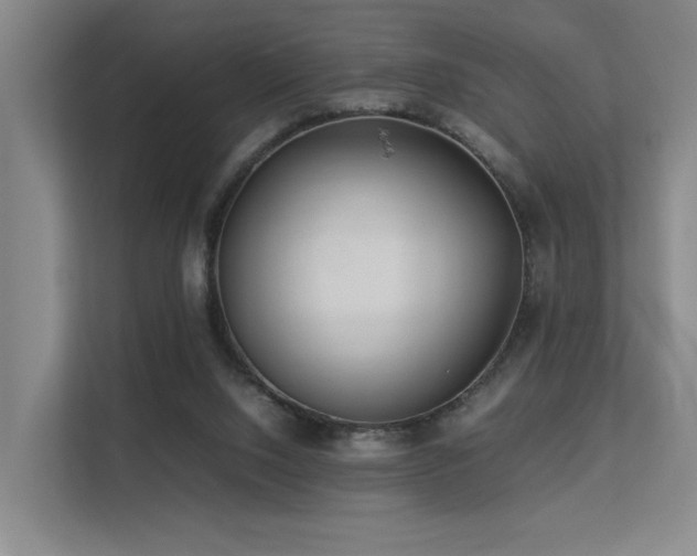 X0000113260064200909101507