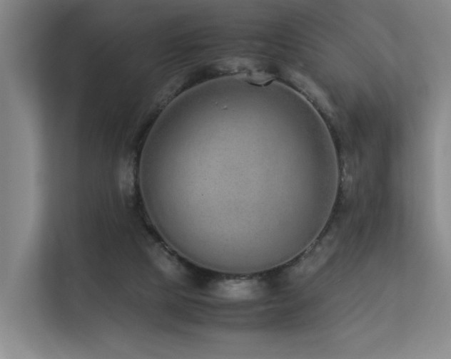 X0000113260065200909101507