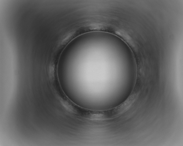 X0000113260066200909101507