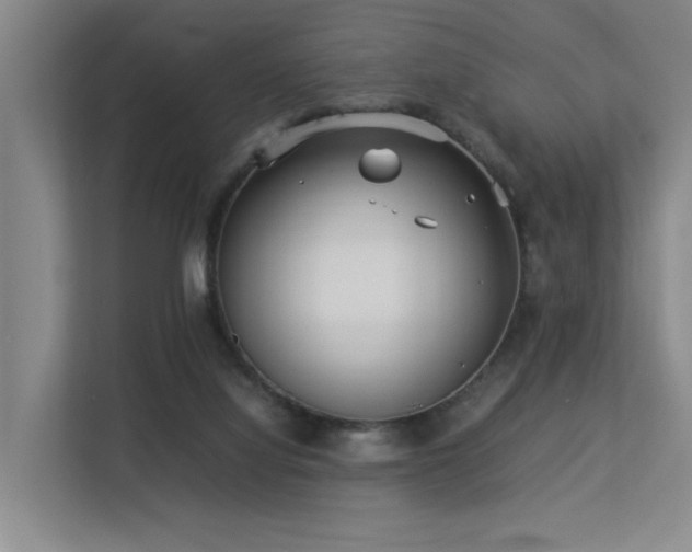 X0000113260068200909101507