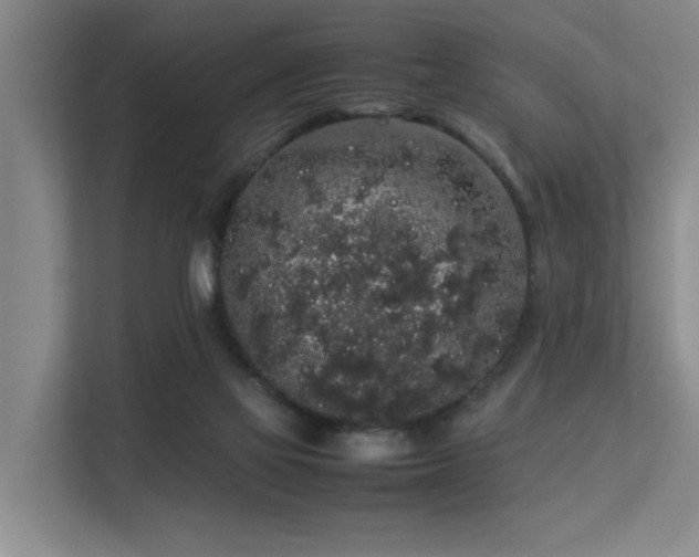 X0000113260069200909101507