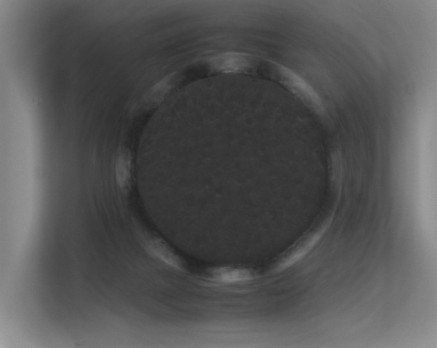 X0000113260073200909101507