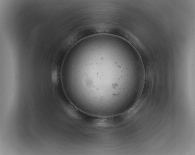 X0000113260074200909101507