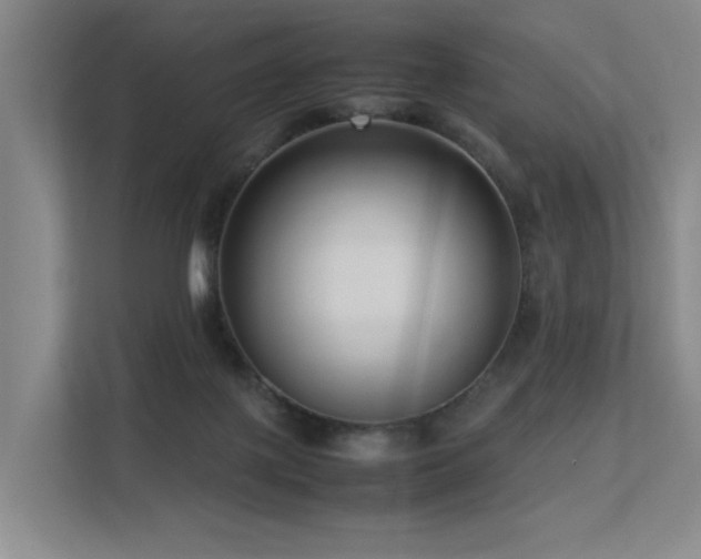 X0000113260075200909101507