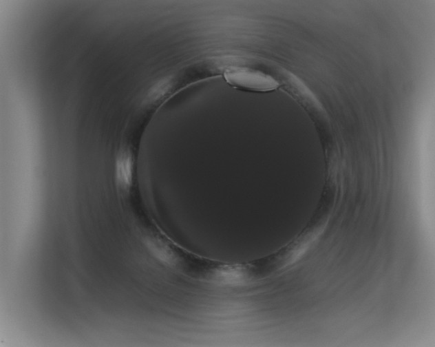 X0000113260076200909101507