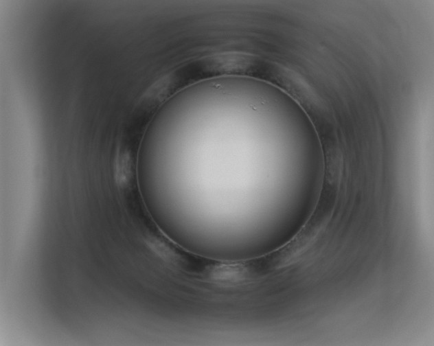 X0000113260077200909101507