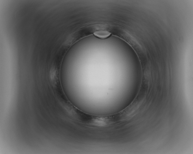 X0000113260079200909101507