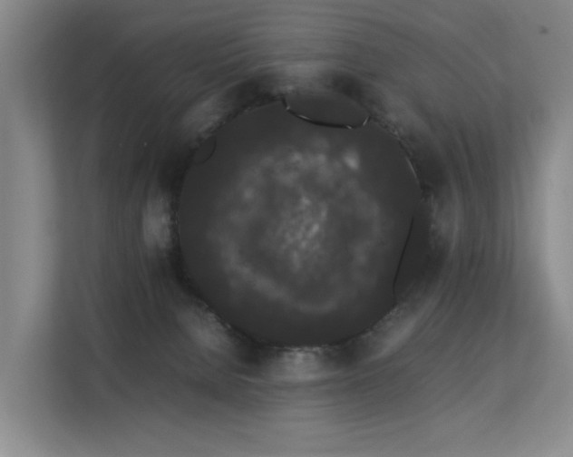 X0000113260080200909101507