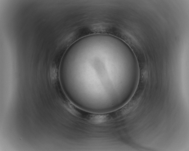 X0000113260081200909101507