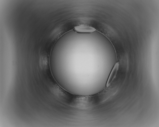 X0000113260084200909101507