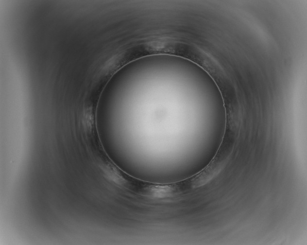 X0000113260085200909101507