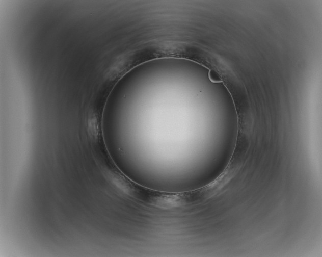 X0000113260086200909101507