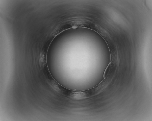 X0000113260087200909101507