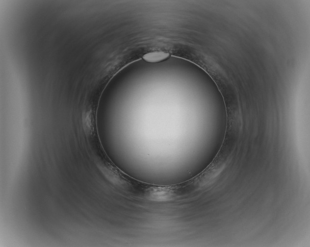 X0000113260088200909101507