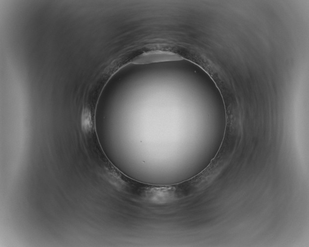 X0000113260089200909101507