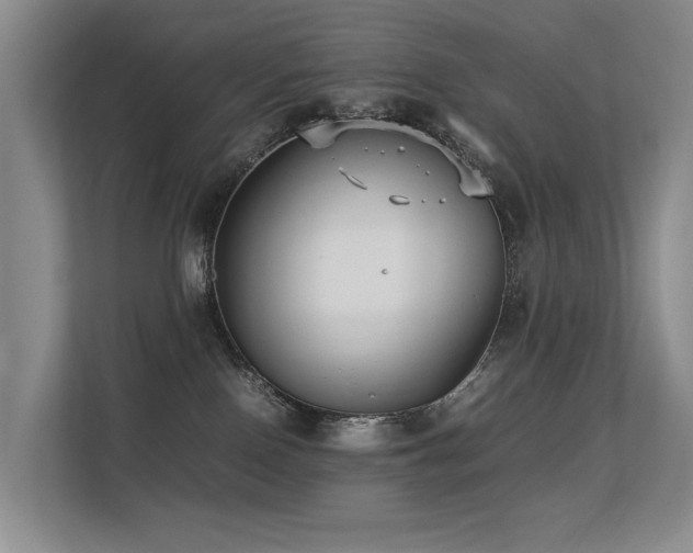 X0000113260090200909101507