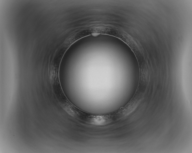 X0000113260091200909101507