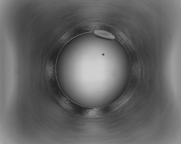 X0000113260092200909101507