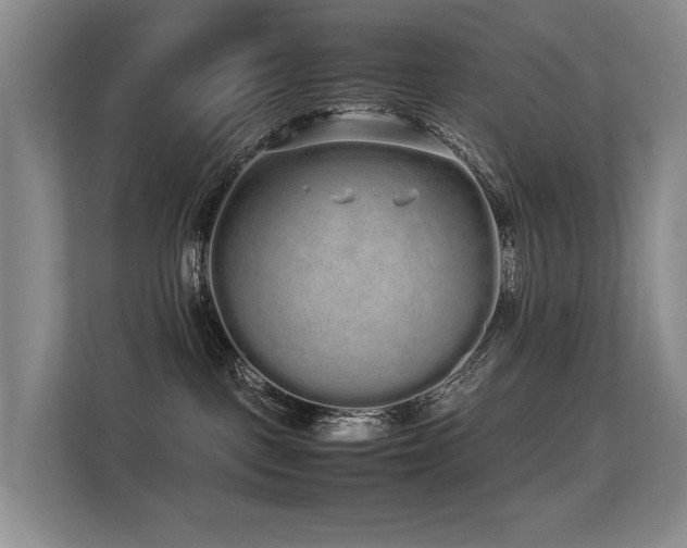 X0000113260093200909101508