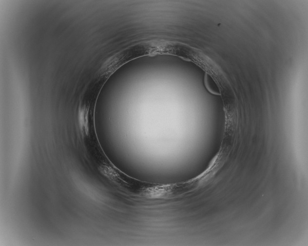 X0000113260094200909101508