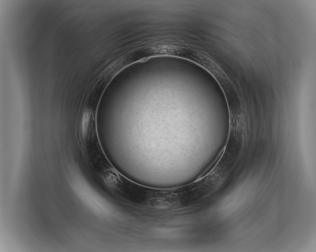 X0000113260095200909101508