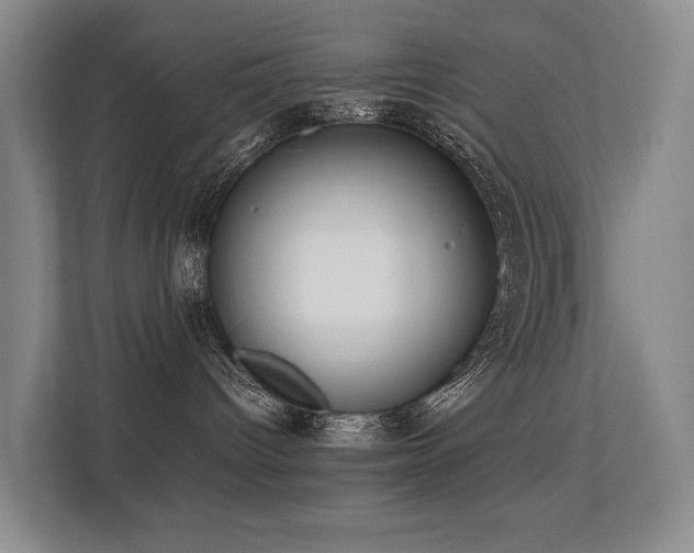 X0000113260096200909101508