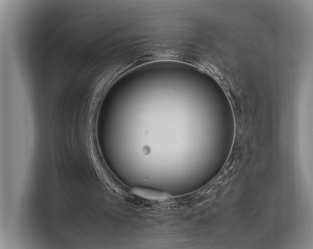 X0000113260097200909101507