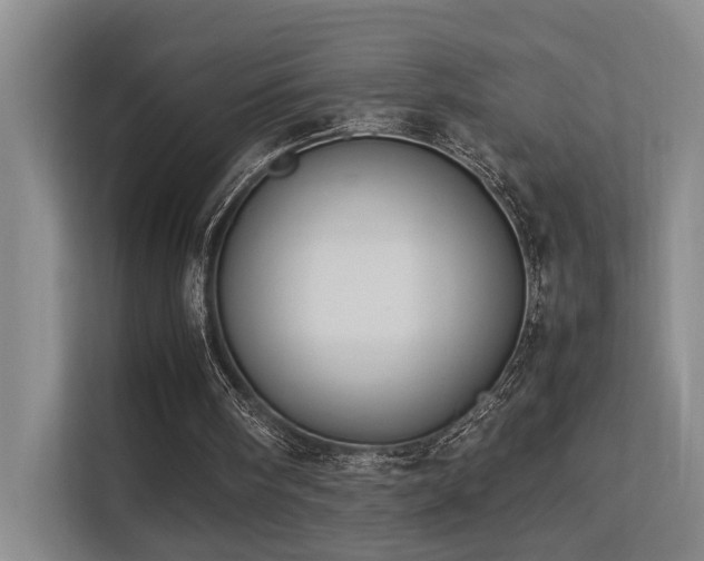 X0000113260098200909101507