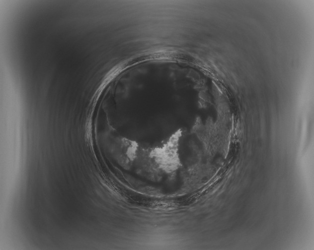 X0000113260099200909101507