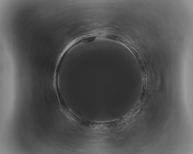 X0000113260100200909101507