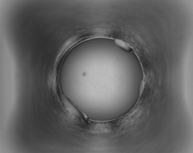 X0000113260101200909101507