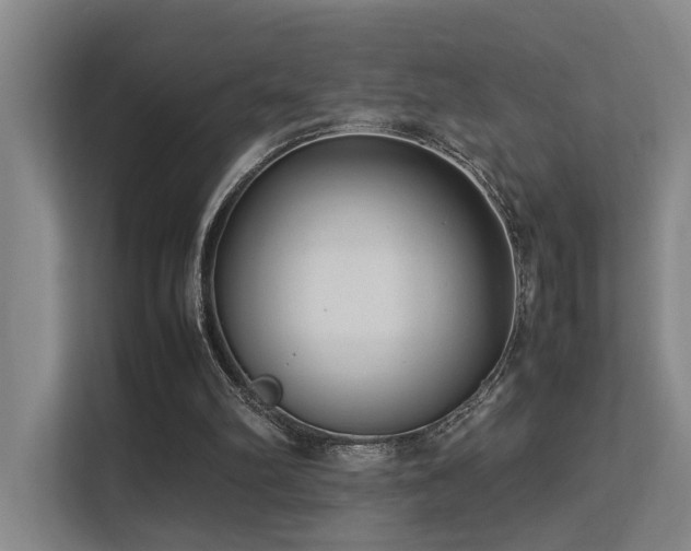 X0000113260102200909101507