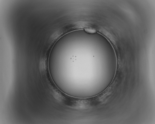 X0000113260105200909101507