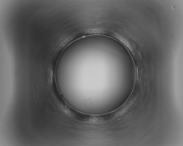 X0000113260109200909101507