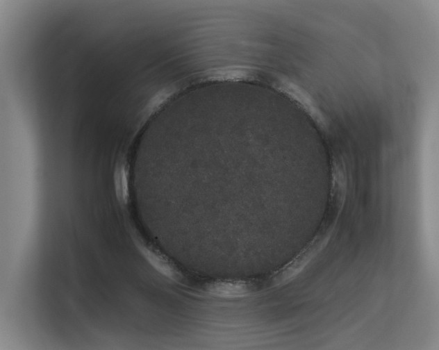 X0000113260110200909101507