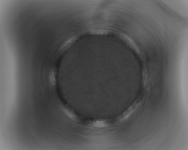 X0000113260114200909101507