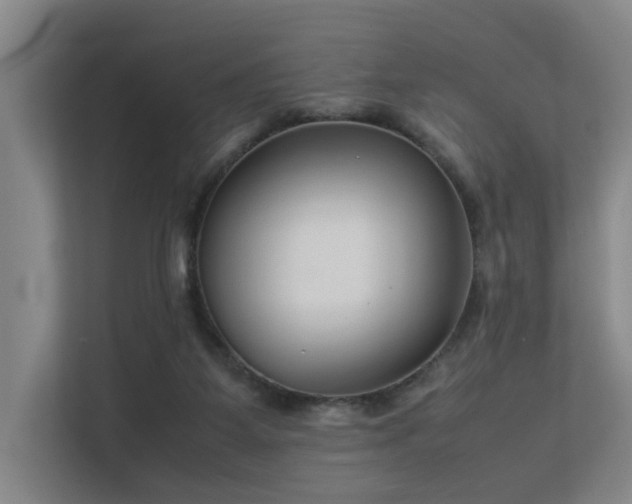 X0000113260115200909101507