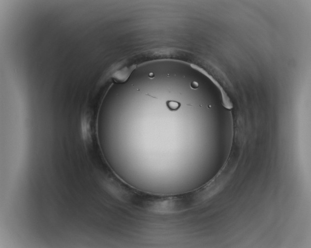 X0000113260116200909101507