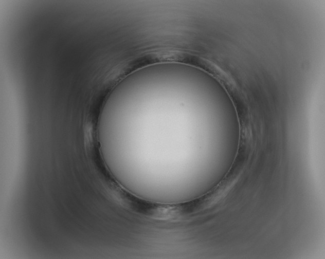 X0000113260117200909101507