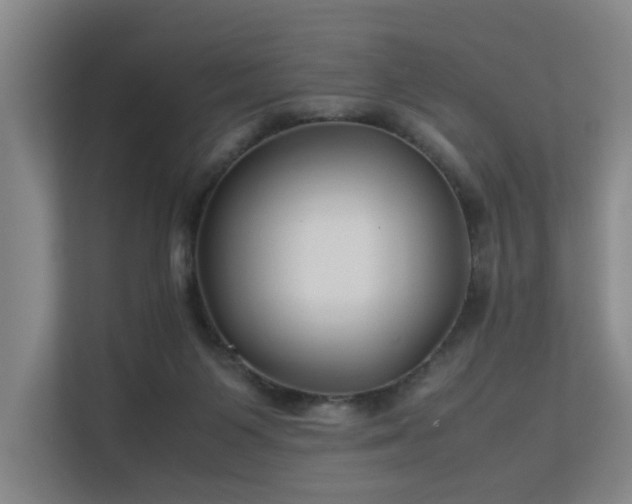 X0000113260119200909101507