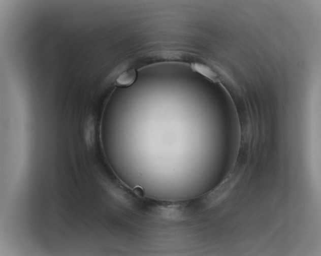 X0000113260120200909101507