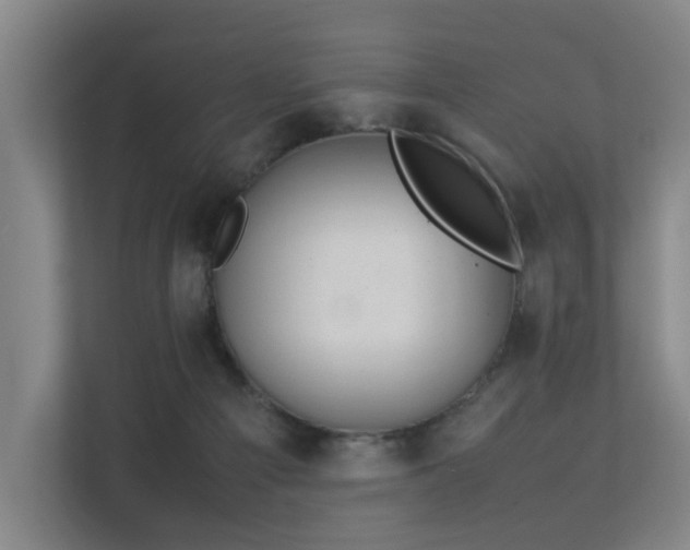 X0000113260121200909101507