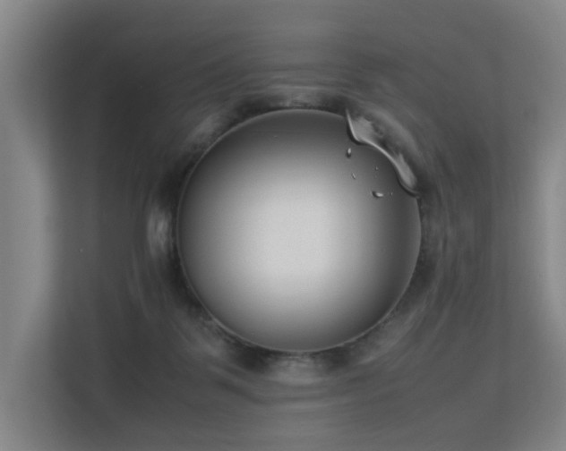 X0000113260123200909101507