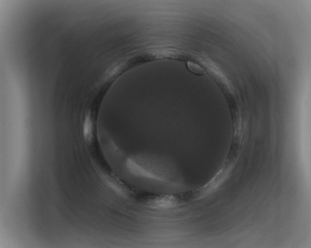 X0000113260124200909101507