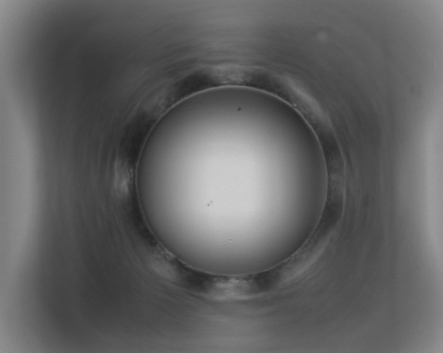 X0000113260125200909101507