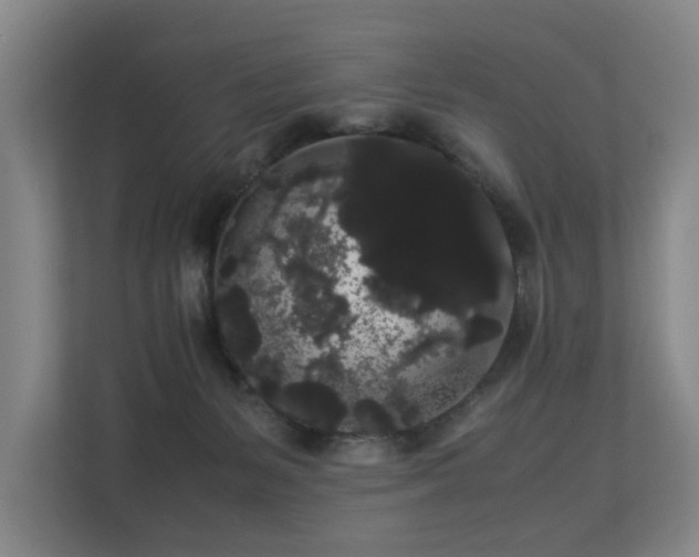 X0000113260127200909101507