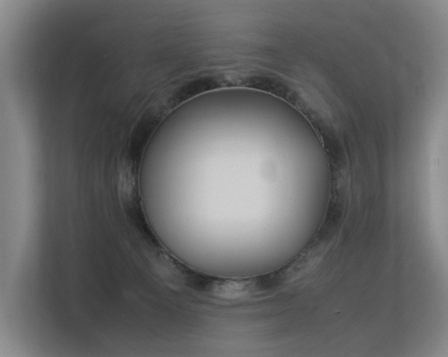 X0000113260129200909101507