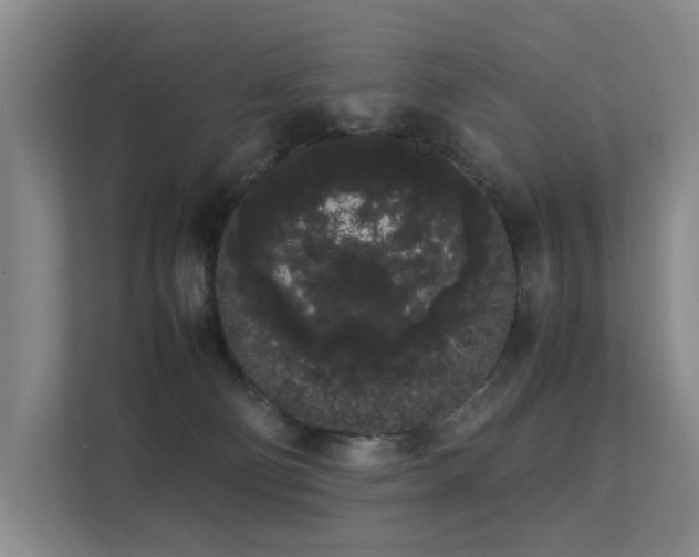 X0000113260130200909101506