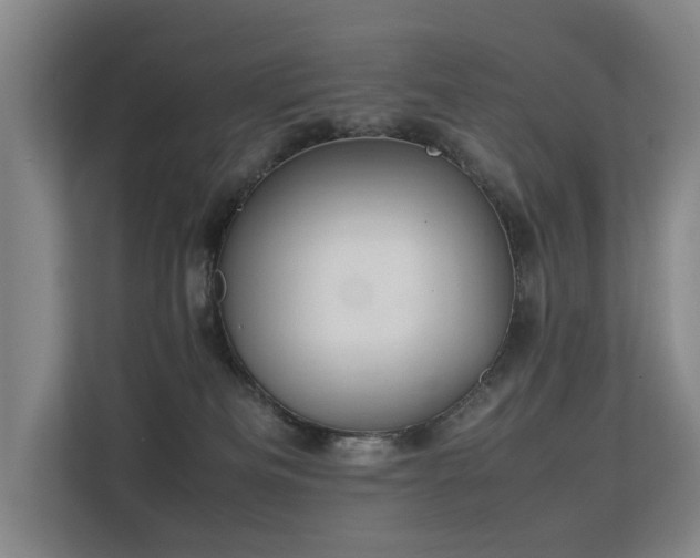 X0000113260133200909101506